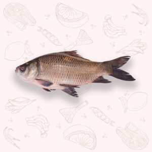 Katla - Medium (2Kg ±)