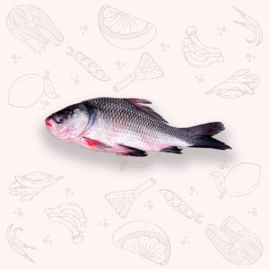 Katla - Regular (1Kg ±)