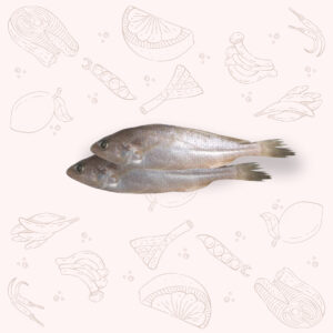 Poa - Regular <br>1Kg