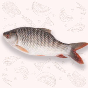 Rui Fish - Medium (2Kg ±)