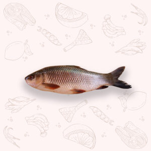 Rui Fish - Regular (1Kg ±)