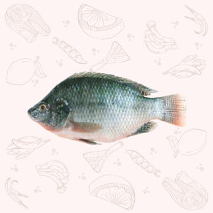 Telapia - <br>Small