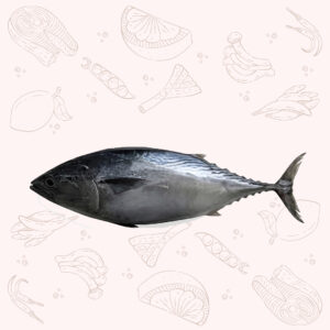Tuna - Large (3Kg ±)